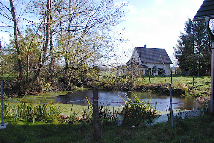 Böhmers Teich