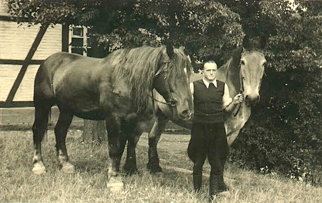 Mitarbeiter Wilhelm mit Max und Hektor