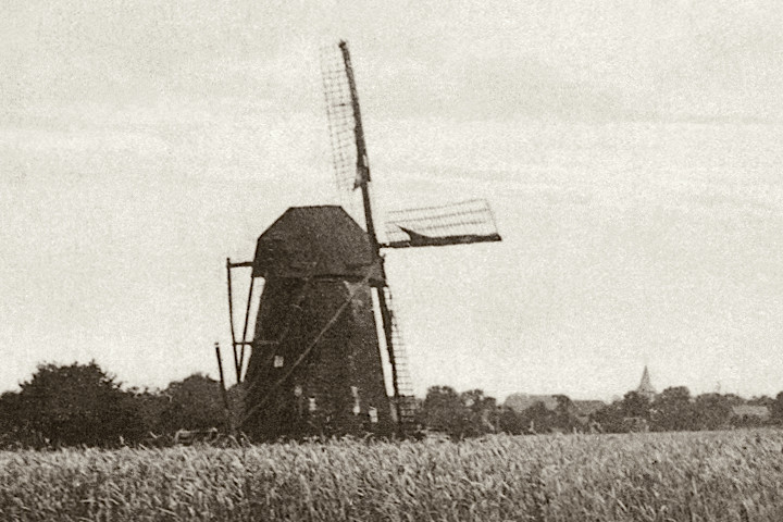 Windmühle Meiningsen ca. 1920
