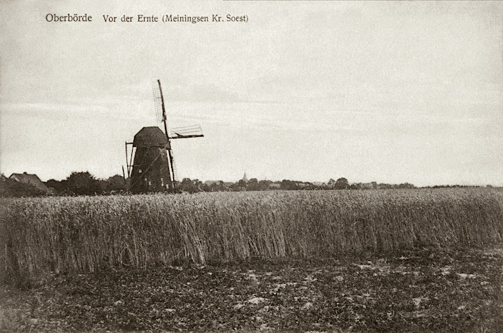 Ansichtskarte Windmühle