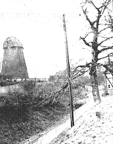 Windmühle Meiningsen 1952